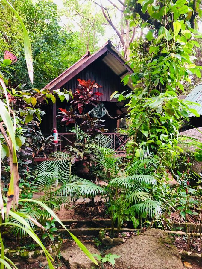 Bambu Huts Ξενοδοχείο Baan Tai Εξωτερικό φωτογραφία