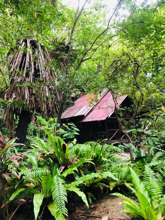 Bambu Huts Ξενοδοχείο Baan Tai Εξωτερικό φωτογραφία